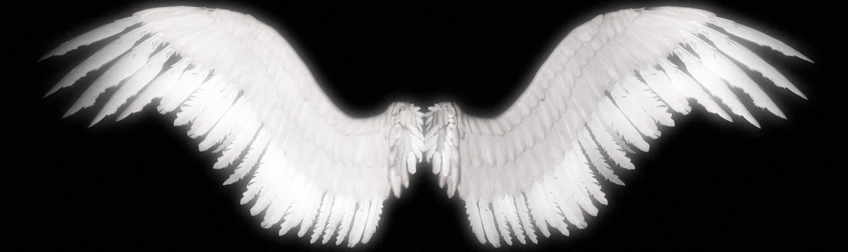New Angel Wings by shadavar-stock on DeviantArt